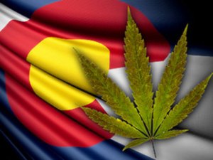 Cannabis_And_Colorado